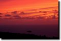 acores_0317.jpg