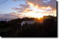 acores_0320.jpg