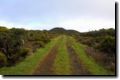 acores_0334.jpg