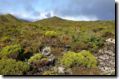 acores_0336.jpg
