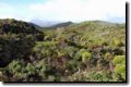 acores_0342.jpg