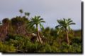 acores_0345.jpg
