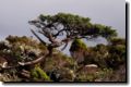 acores_0348.jpg