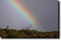 acores_0349.jpg