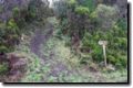 acores_0350.jpg