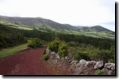 acores_0352.jpg