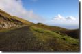 acores_0635.jpg
