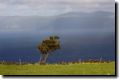 acores_0645.jpg