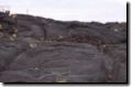 acores_0660.jpg