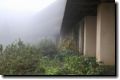 acores_0729.jpg