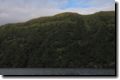 acores_0736.jpg