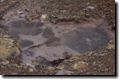 acores_0763.jpg