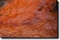 acores_0780.jpg