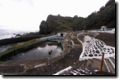 acores_0795.jpg