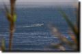 acores_0810.jpg