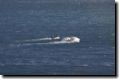 acores_0811.jpg