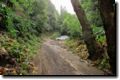 acores_0819.jpg