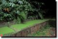 acores_0820.jpg