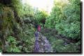 acores_0930.jpg