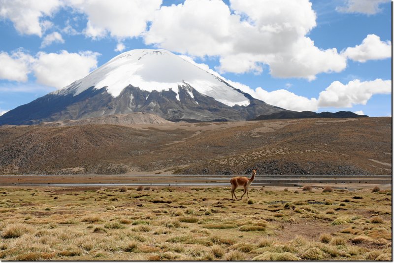 nordchile-103.jpg