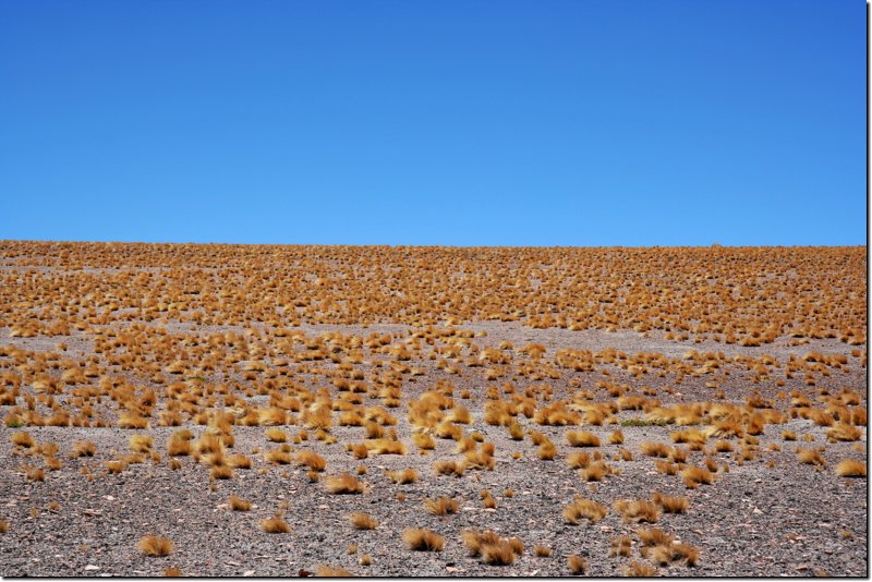 nordchile-305.jpg