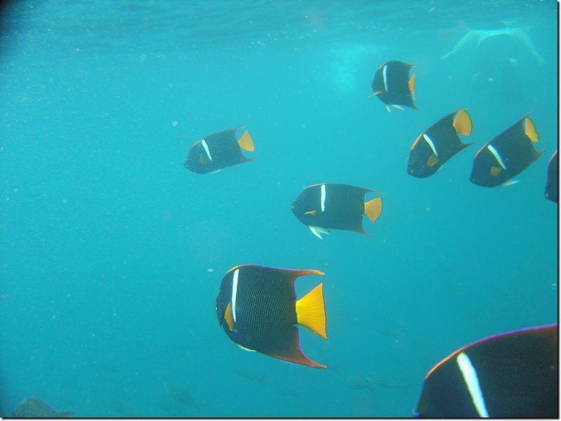 galapagos-201.jpg