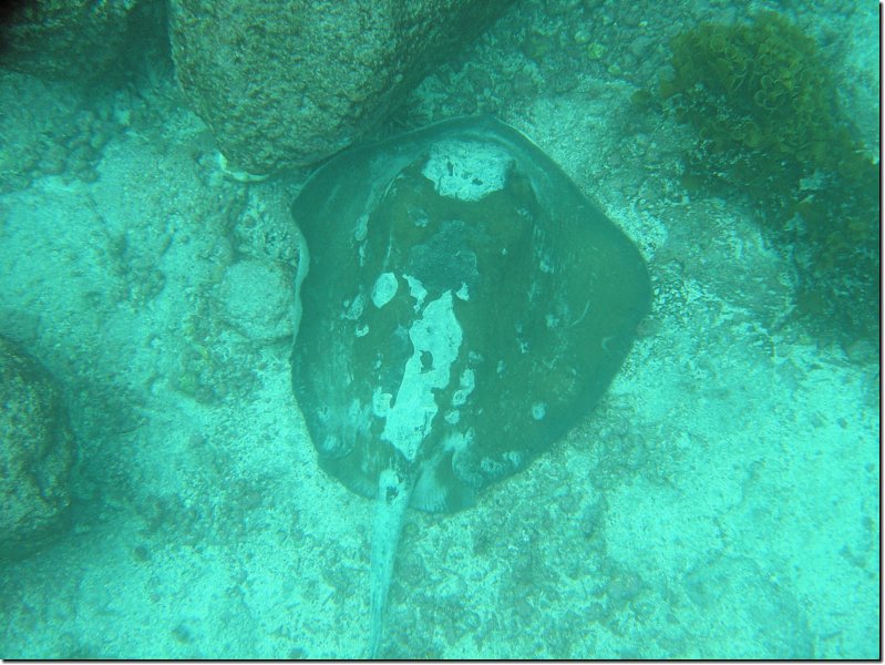 galapagos-224.jpg