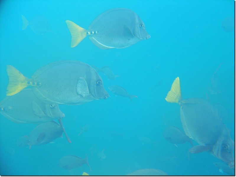 galapagos-228.jpg