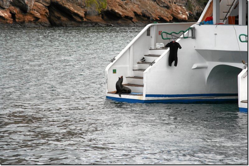 galapagos-233.jpg