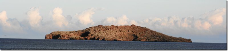galapagos-260a.jpg