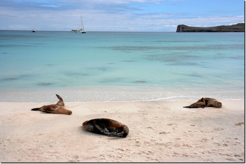 galapagos-299.jpg