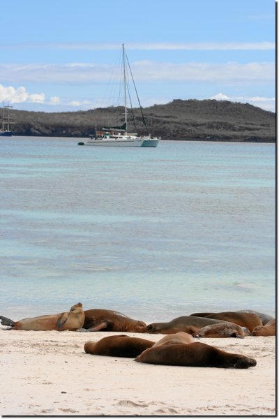 galapagos-301.jpg