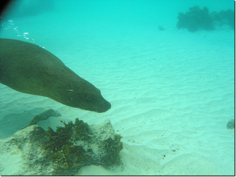galapagos-304.jpg