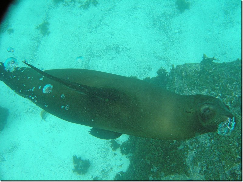 galapagos-309.jpg