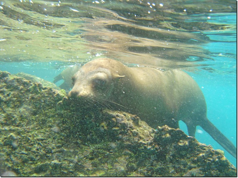 galapagos-312.jpg
