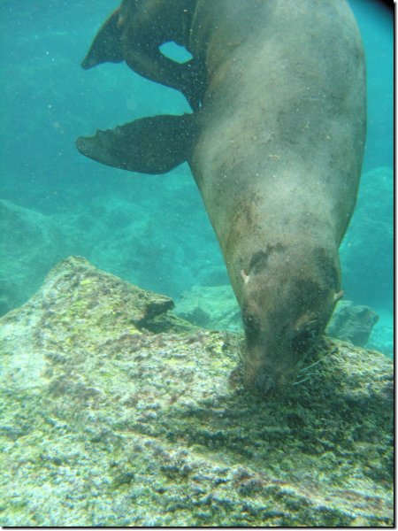 galapagos-314.jpg