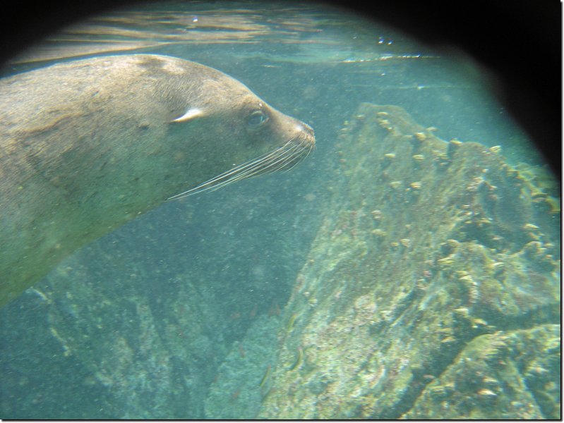 galapagos-315.jpg