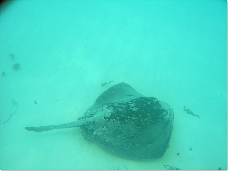 galapagos-323.jpg