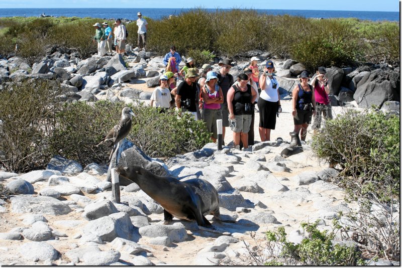galapagos-363.jpg
