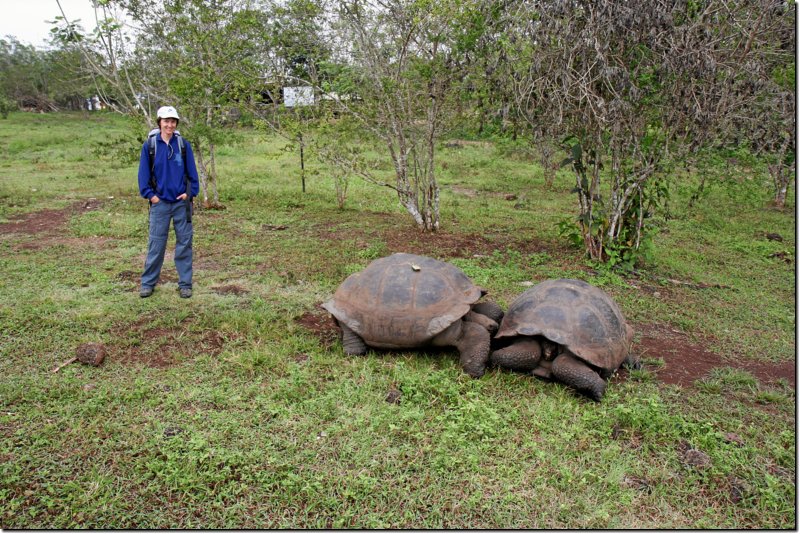 galapagos-442.jpg