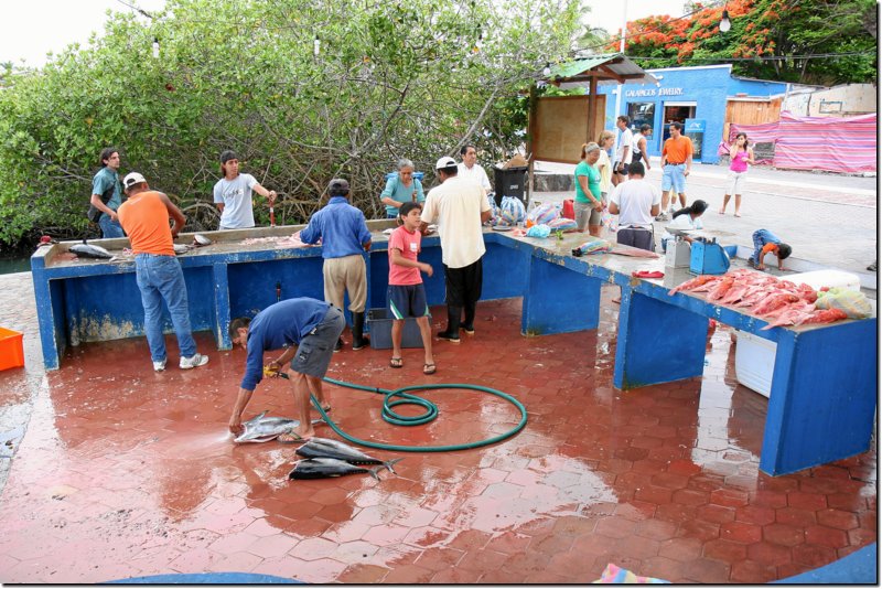 galapagos-473.jpg