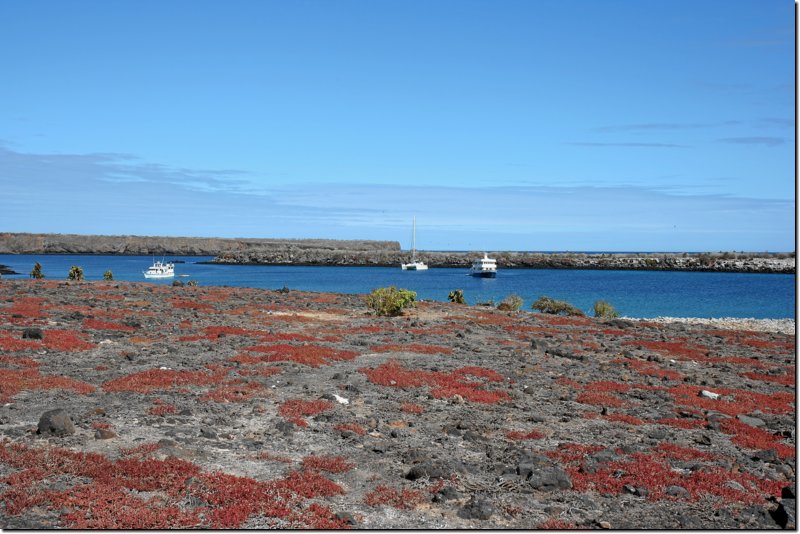 galapagos-506.jpg