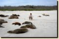 galapagos-300.jpg
