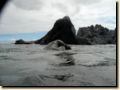 galapagos-310.jpg