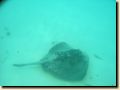 galapagos-323.jpg