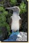 galapagos-332.jpg