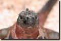 galapagos-337.jpg