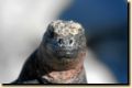 galapagos-388.jpg