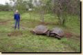 galapagos-442.jpg