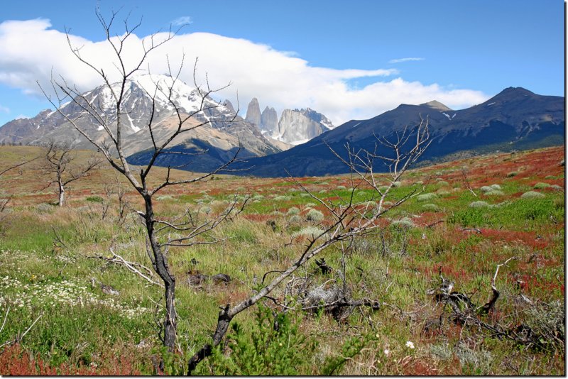 patagonien-076.jpg
